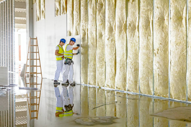 Trusted Oak Harbor, OH Insulation Contractor Experts